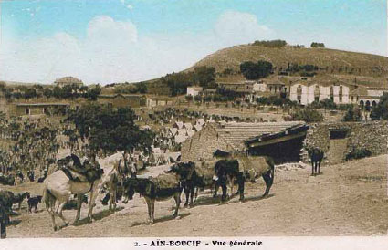 Fichier:Ain Boucif Vue.jpg