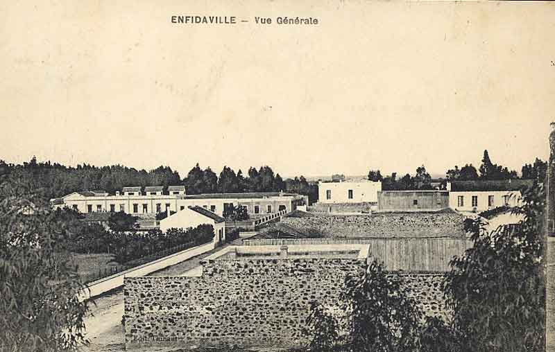 Fichier:Enfida gene.jpg