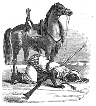 Fichier:Douairs 111.jpg