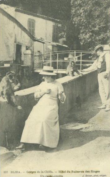 Fichier:La Chiffa Hôtel Ruisseau Singes.jpg