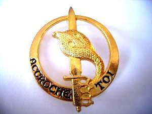 Fichier:Commando Cobra.jpg