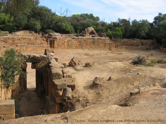 Fichier:Tipasa Ruines les Arènes.jpg