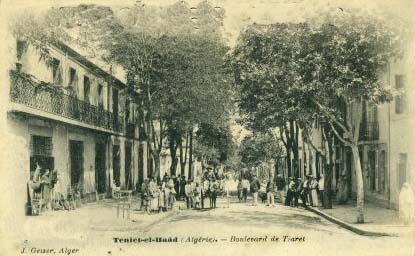 Fichier:Teniet el Haad Bd Tiaret.jpg