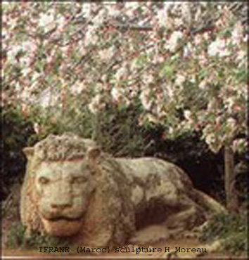 Fichier:Ifrane le lion.jpg