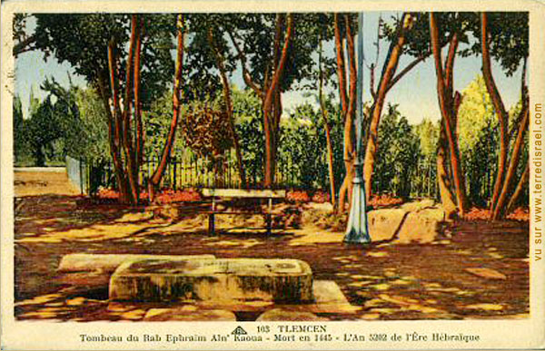 Fichier:Rab Ephraïm Aln'Kaoua.jpg