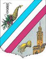 Fichier:Blason Tlemcen.jpg