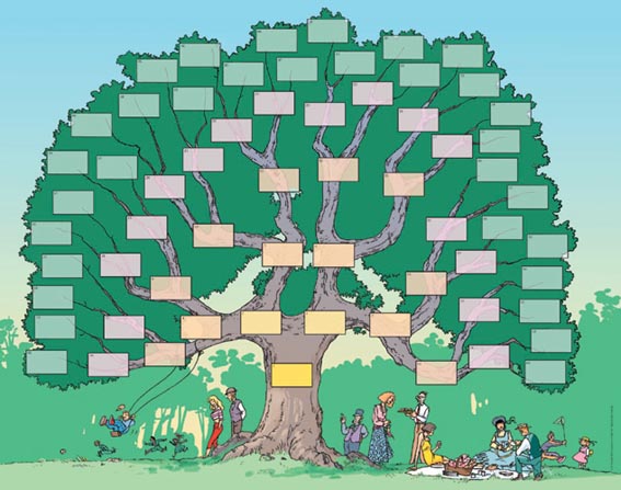 Fichier:Arbre généalogique.jpg