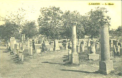 Fichier:Lambèse Musée.jpg