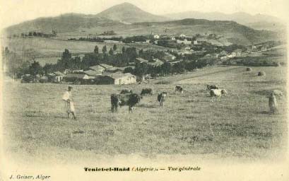 Fichier:Teniet el Haad Vue.jpg