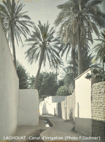 Fichier:Laghouat Canal irrrigation.jpg