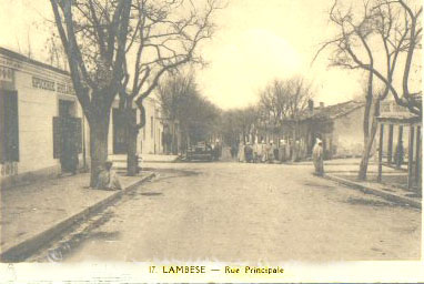 Fichier:Lambèse rue principale.jpg