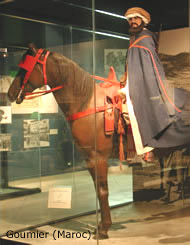 Fichier:Goumier monté.jpg