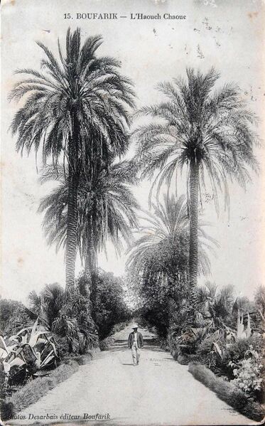 Fichier:800px-Boufarik 015.jpg