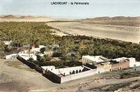 Laghouat Palmeraie.jpg