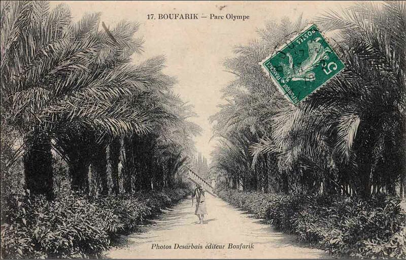 Fichier:Bfk olympe.jpg