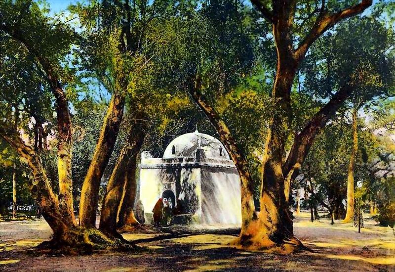 Fichier:Marabout au bois sacre.jpg