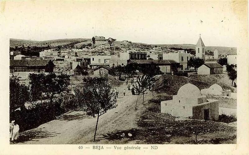 Fichier:Beja gene1.jpg