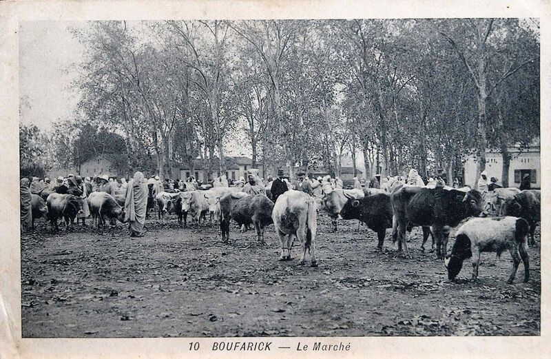 Fichier:1280px-Boufarik 013.jpg