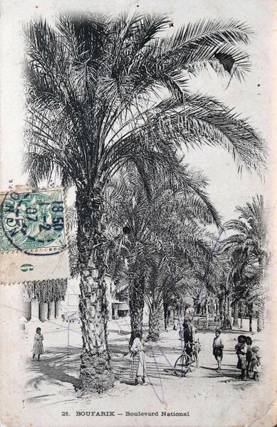 Fichier:800px-Boufarik 046.jpg