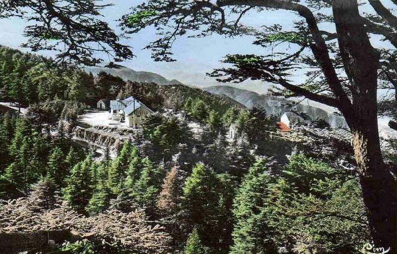 Fichier:Chrea aerium.jpg