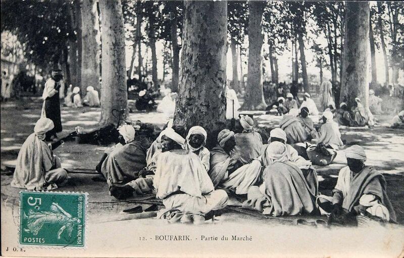 Fichier:1280px-Boufarik 011.jpg