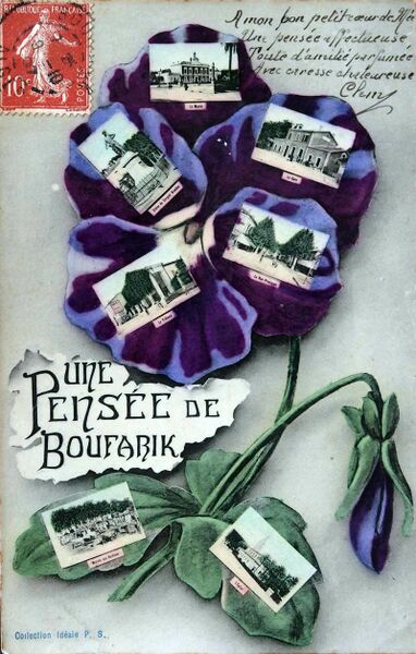 Fichier:800px-Boufarik 001.jpg