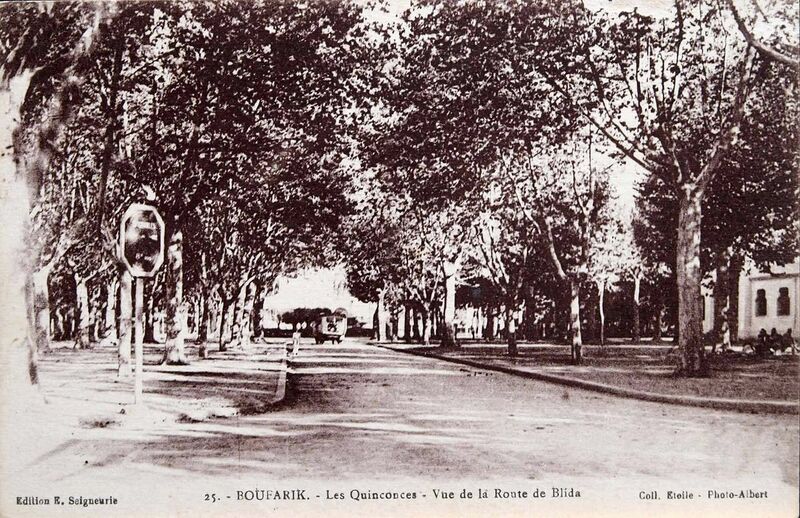 Fichier:1280px-Boufarik 037.jpg