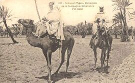 Sahara Compagnie Saharienne.jpg