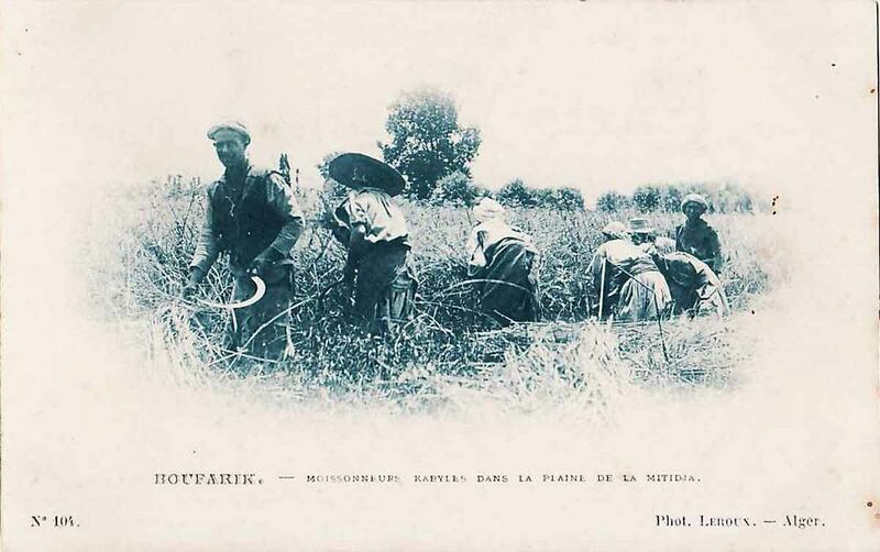 Fichier:Bfk 1890 moissons.jpg