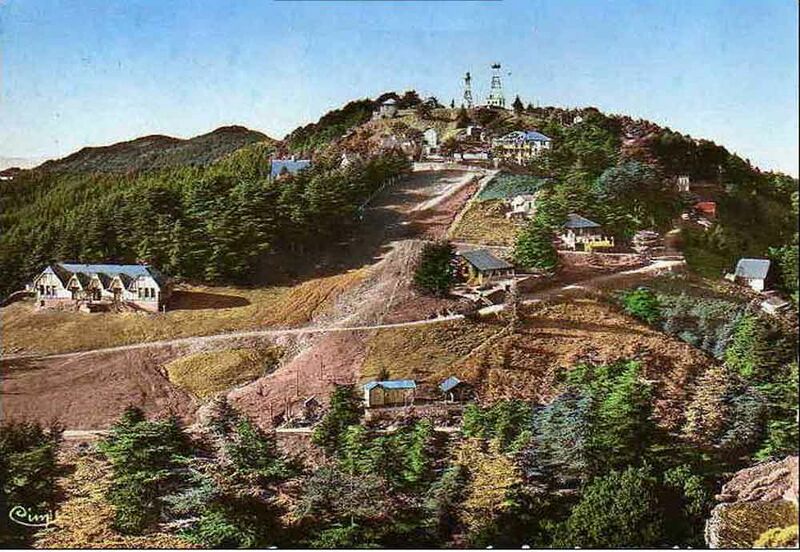 Fichier:Chrea gene.jpg