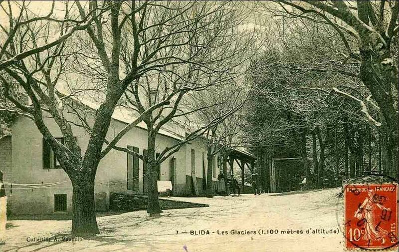 Fichier:Blida glaciers.jpg