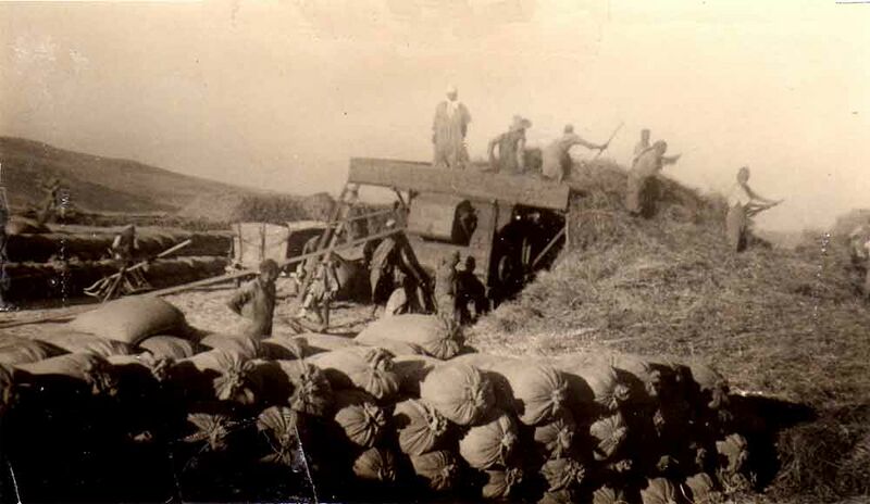 Fichier:Saharouis moissons.jpg