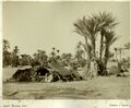 Biskra - Tente de bedoins - 1880
