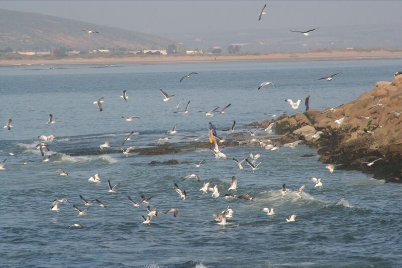 Fichier:Baie de sebou.jpg