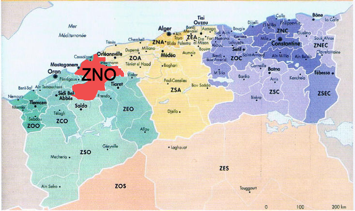 zno.png