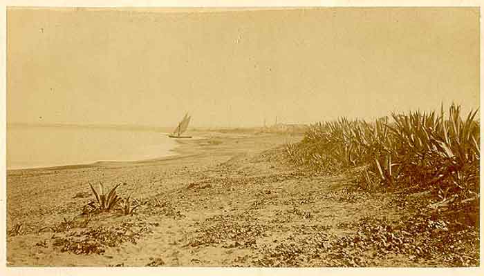 1880_plage.jpg