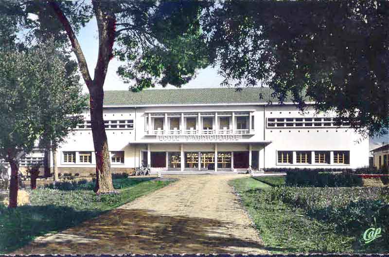 ecole_agriculture_guelma.jpg