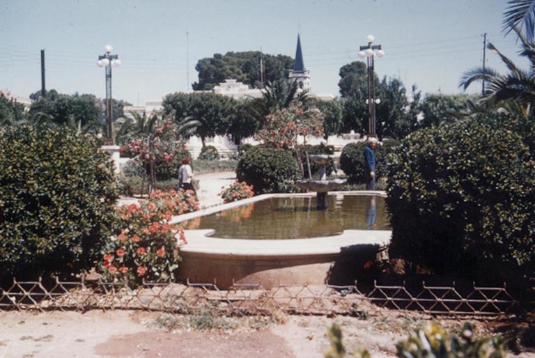 jardin.jpg