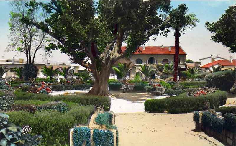 jardin.jpg