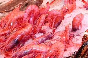 crevettesrouges.jpg