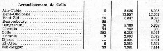 collo1.jpg