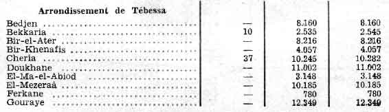tebessa1.jpg