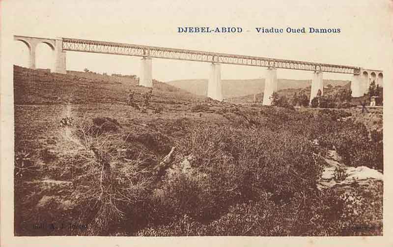 viaduc_abiod.jpg