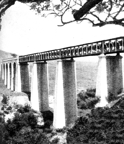 viaduc_oued_zitoum.png