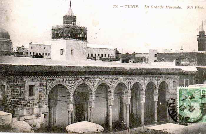 zitouna_1890.jpg